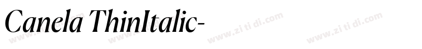 Canela ThinItalic字体转换
